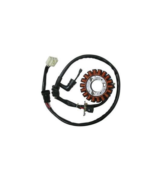 STATORE PIAGGIO 350 BEVERLY/X-10 58244R