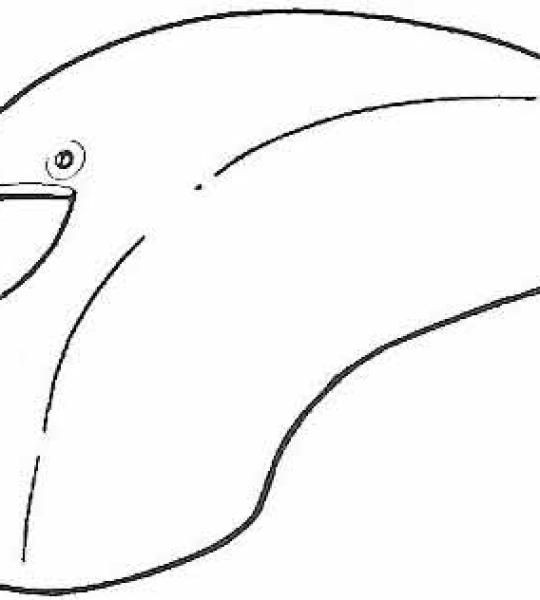 Parafango anteriore - Vespa 50N - 50N Speedmatic - 50V F.L.2 (pl - 1256342