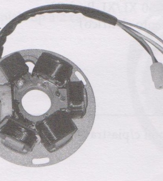 Statore completo Cosa CL 125 - 163014