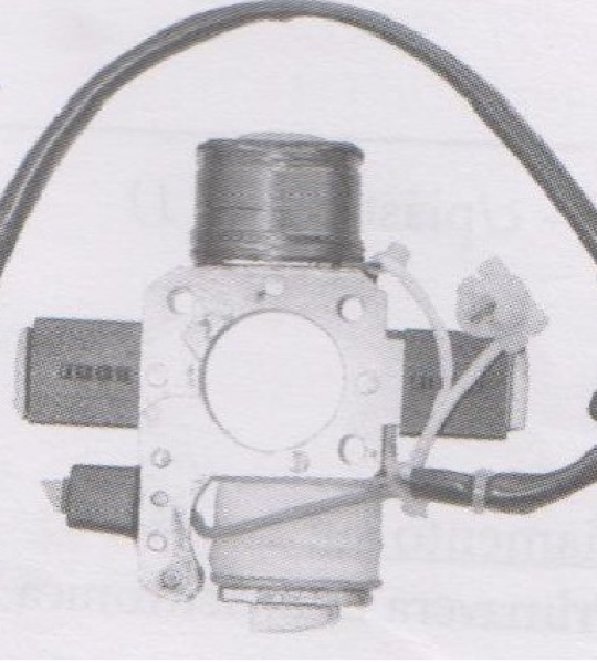 Statore Bobine 3 Fili + 2 Fli per Piaggio Si,Grillo Con Frecce - 255614