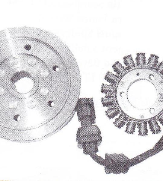 Volano Mot. Piaggio 250 carb.Beverly/X9 - 168501